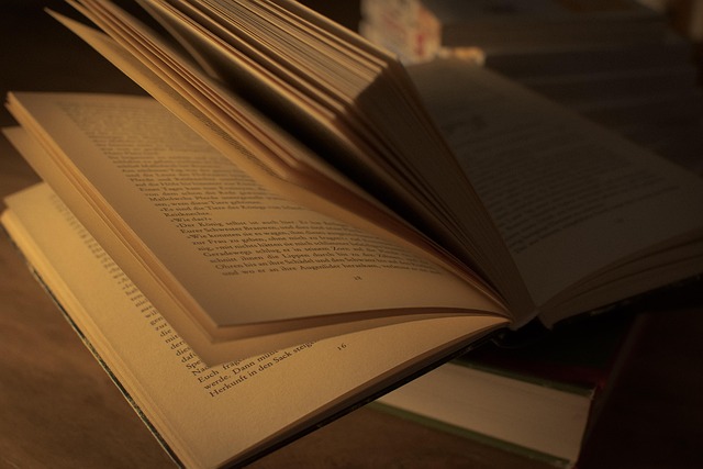 Die Bedeutung von Netzwerken an der Handelshochschule